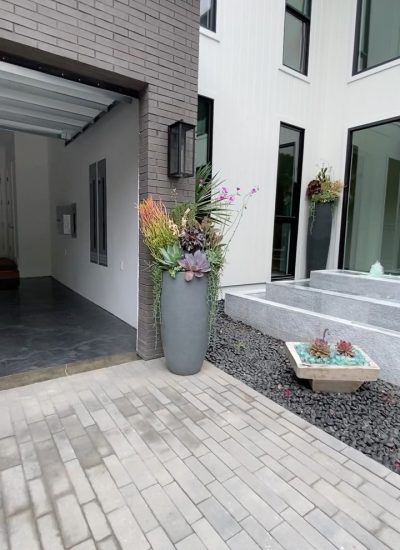 498115048_1361625108285459_1828375372809094886_n